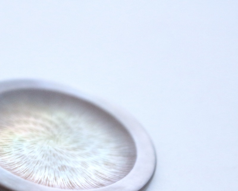 Shell Button